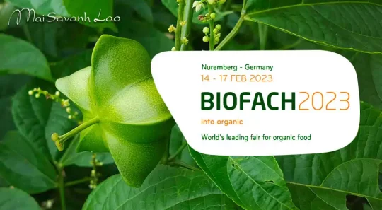 Biofach-2023