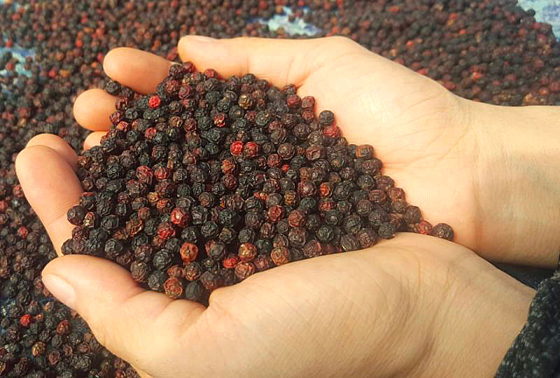 Bolaven red peppercorns