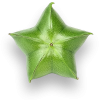 SI-vert300ombre.png SI-vert300ombre.png